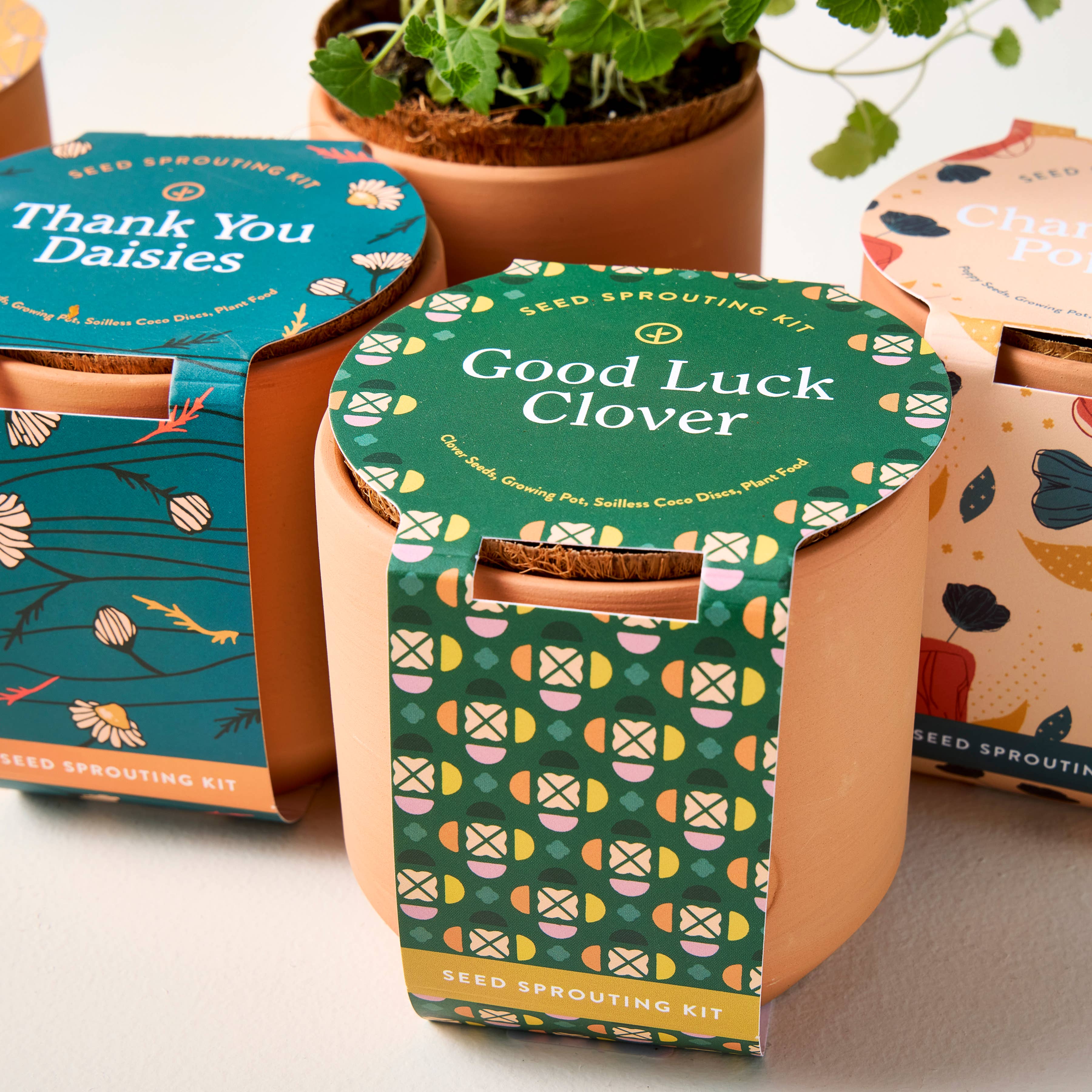 Tiny Terracotta Grow Kits, photo 4 of 8