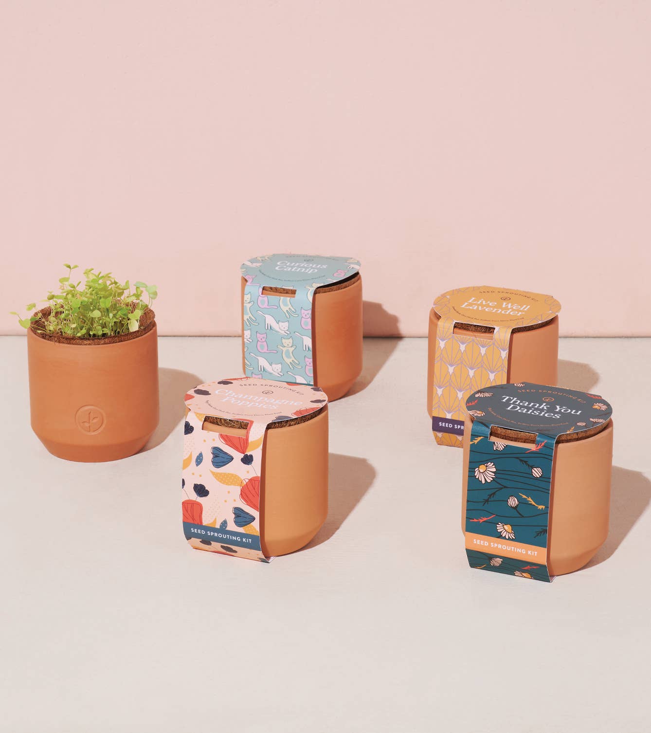 Tiny Terracotta Grow Kits, photo 5 of 8