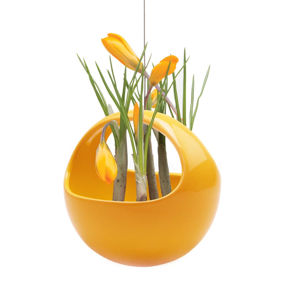 Hanging Planter For Succulents: Nest / Imperial Blue, photo 7 of 8