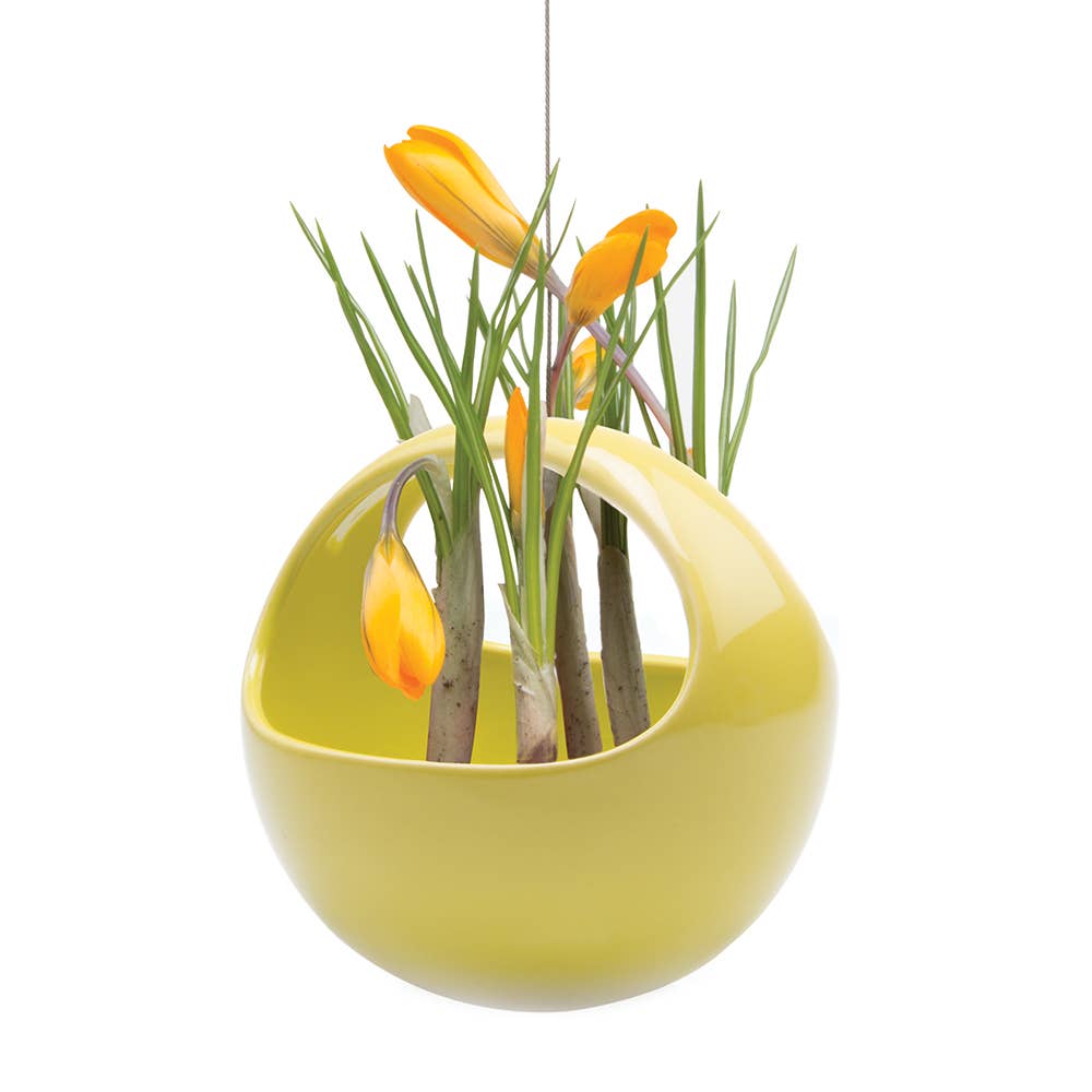 Hanging Planter For Succulents: Egg / Imperial Blue, photo 6 of 8