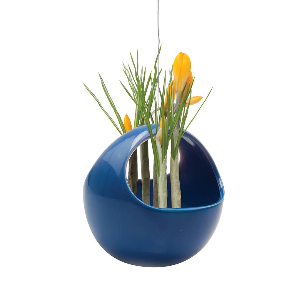 Hanging Planter For Succulents: Egg / Imperial Blue, photo 7 of 8