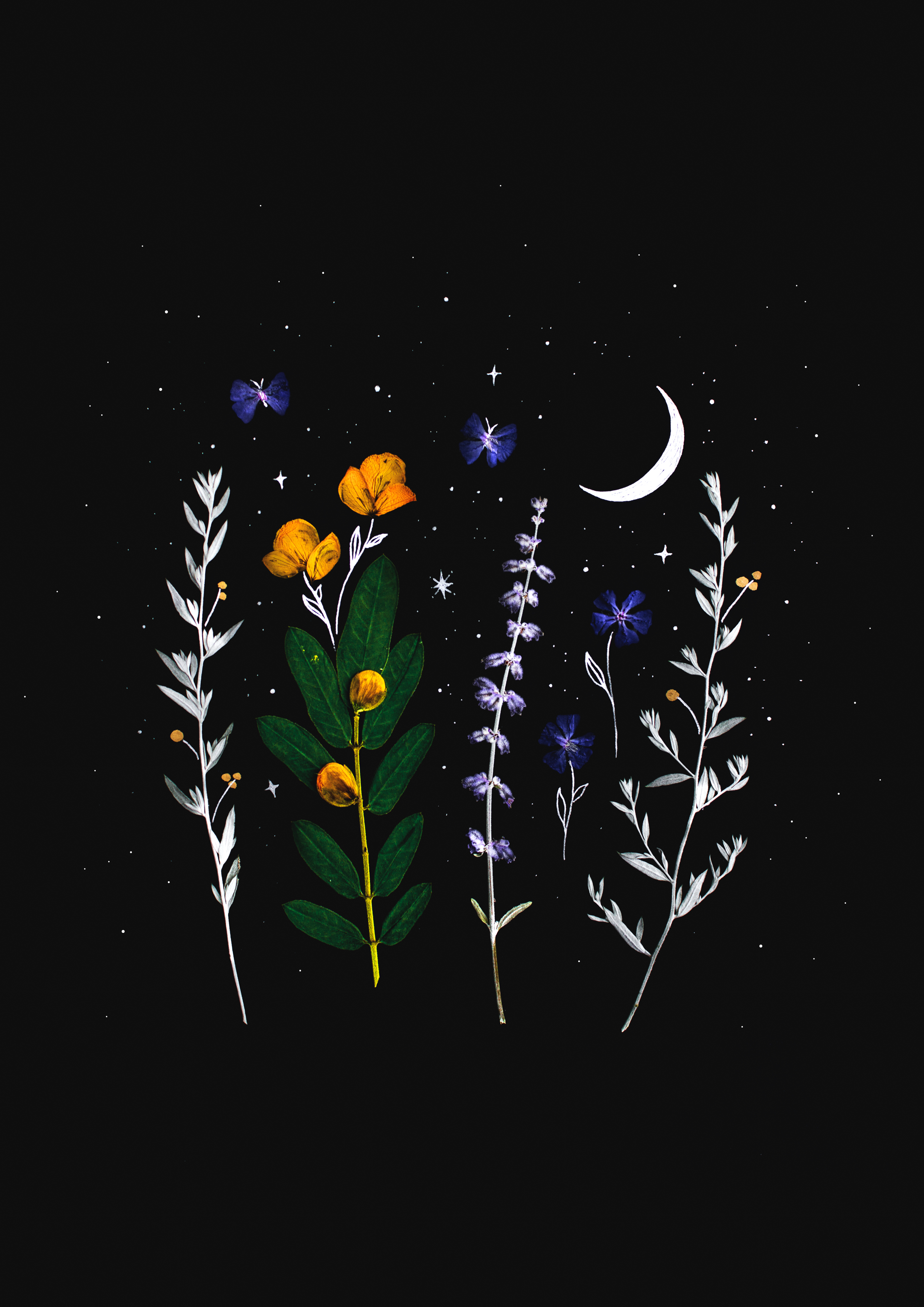 Flowering of Consciousness