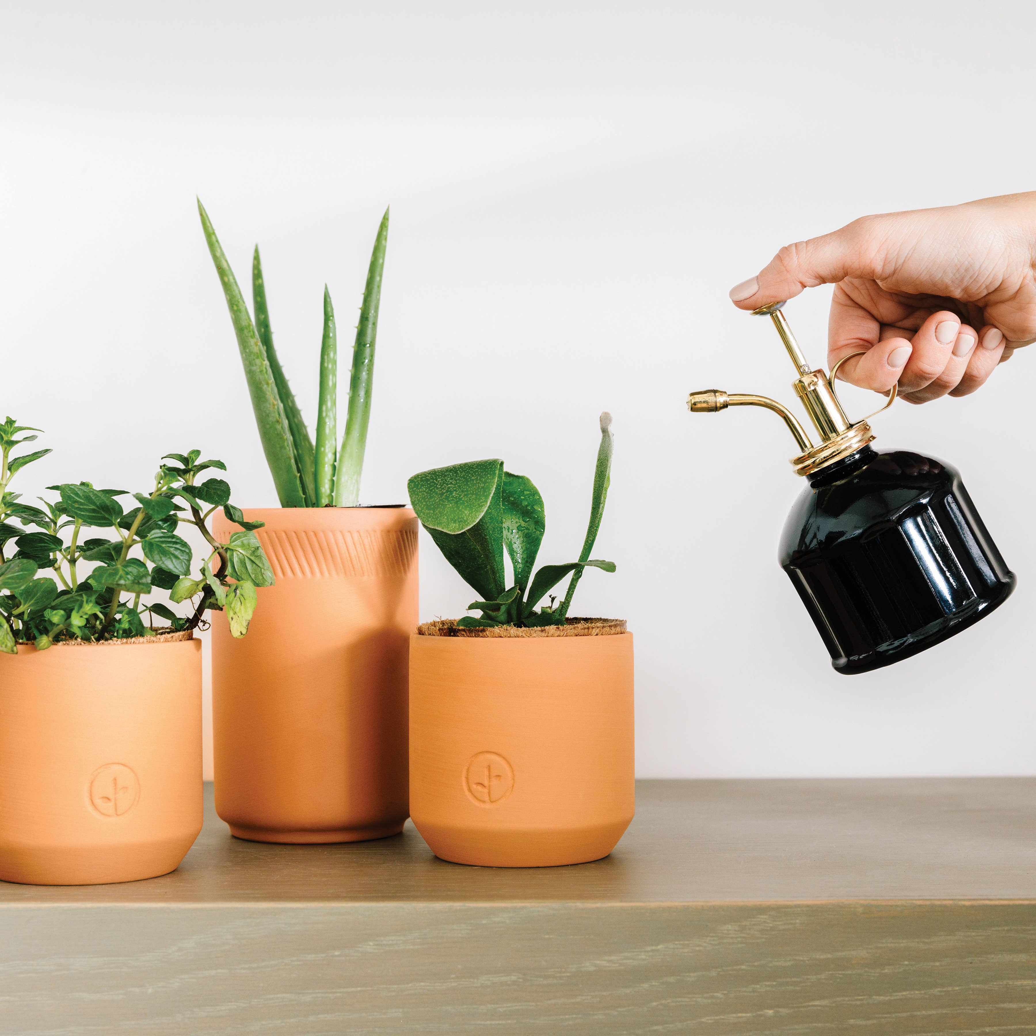 Tiny Terracotta Grow Kits, photo 3 of 8