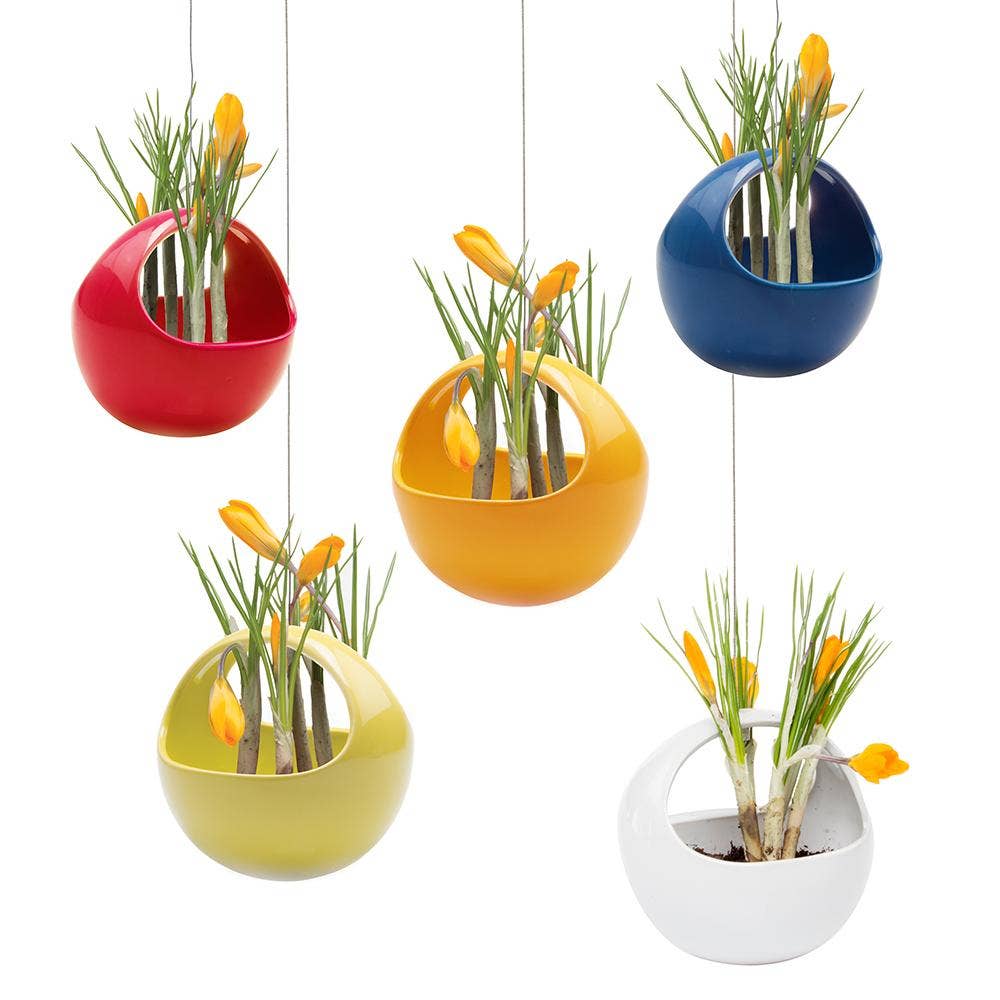Hanging Planter For Succulents: Egg / Imperial Blue, photo 4 of 8
