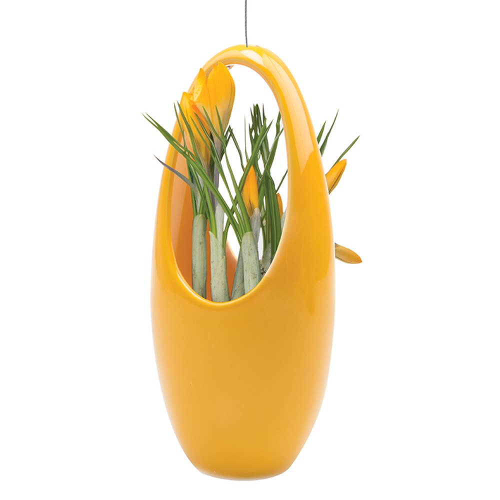 Hanging Planter For Succulents: Egg / Saffron, photo 1 of 8