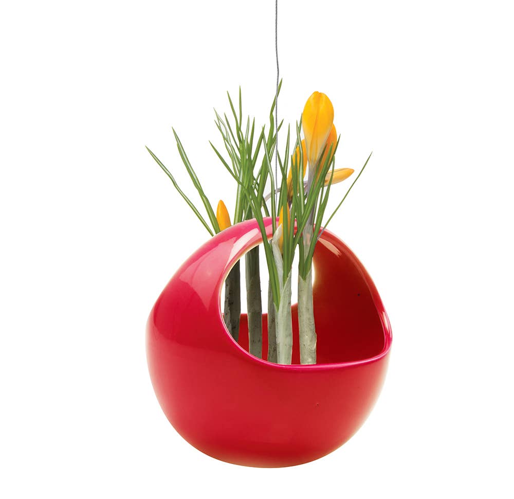 Hanging Planter For Succulents: Nest / Imperial Blue, photo 5 of 8