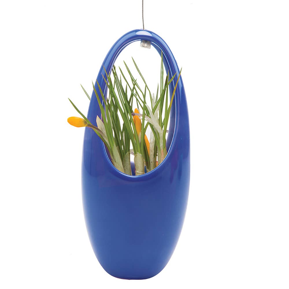 Hanging Planter For Succulents: Egg / Imperial Blue, photo 1 of 8